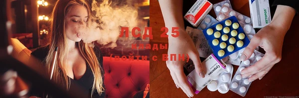 2c-b Алзамай
