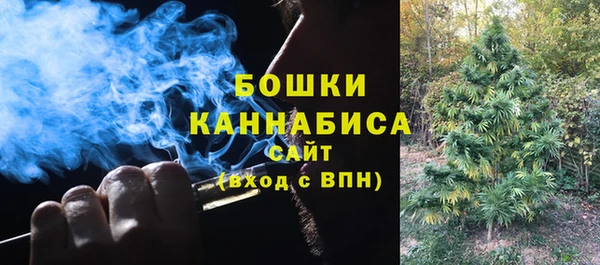 2c-b Алзамай